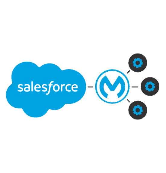 End-to-End Salesforce Mulesoft Implementation Services