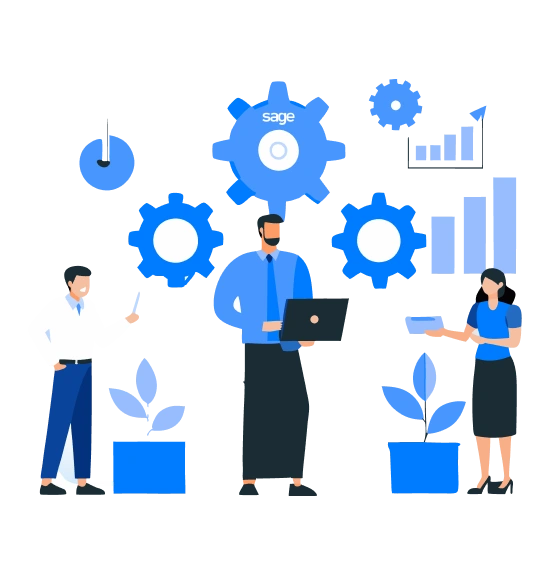 Sage 300 Implementation Services 